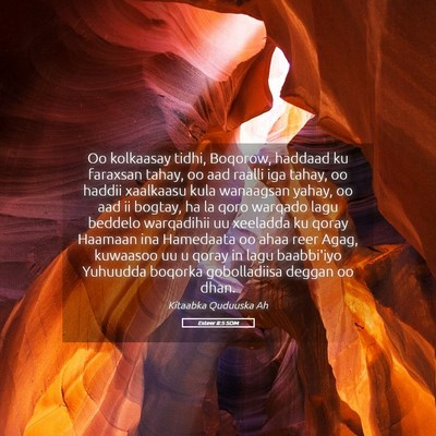 Picture 05 - Esteer 8:5 SOM - Oo kolkaasay tidhi, Boqorow, haddaad ku faraxsan - Bible Verse Picture