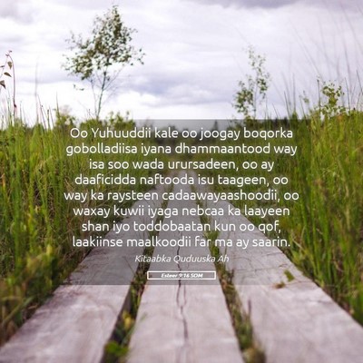 Picture 05 - Esteer 9:16 SOM - Oo Yuhuuddii kale oo joogay boqorka gobolladiisa - Bible Verse Picture