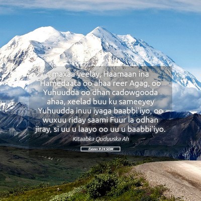 Picture 05 - Esteer 9:24 SOM - maxaa yeelay, Haamaan ina Hamedaata oo ahaa reer - Bible Verse Picture
