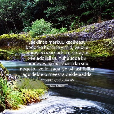 Picture 05 - Esteer 9:25 SOM - Laakiinse markuu xaalkaasu boqorka hortiisa - Bible Verse Picture