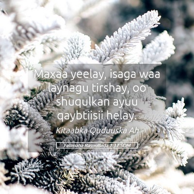 Picture 05 - Falimaha Rasuullada 1:17 SOM - Maxaa yeelay, isaga waa laynagu tirshay, oo - Bible Verse Picture
