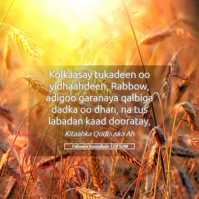 Picture 05 - Falimaha Rasuullada 1:24 SOM - Kolkaasay tukadeen oo yidhaahdeen, Rabbow, adigoo - Bible Verse Picture