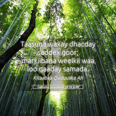 Picture 05 - Falimaha Rasuullada 10:16 SOM - Taasuna waxay dhacday saddex goor; markiibana - Bible Verse Picture