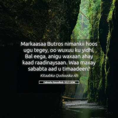 Picture 05 - Falimaha Rasuullada 10:21 SOM - Markaasaa Butros nimankii hoos ugu tegey, oo - Bible Verse Picture