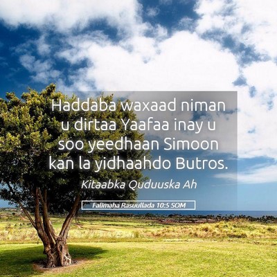 Picture 05 - Falimaha Rasuullada 10:5 SOM - Haddaba waxaad niman u dirtaa Yaafaa inay u soo - Bible Verse Picture