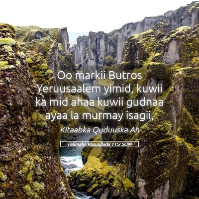 Picture 05 - Falimaha Rasuullada 11:2 SOM - Oo markii Butros Yeruusaalem yimid, kuwii ka mid - Bible Verse Picture
