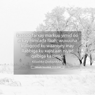 Picture 05 - Falimaha Rasuullada 11:23 SOM - kaasoo farxay markuu yimid oo arkay nimcada - Bible Verse Picture