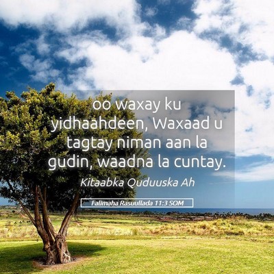 Picture 05 - Falimaha Rasuullada 11:3 SOM - oo waxay ku yidhaahdeen, Waxaad u tagtay niman - Bible Verse Picture