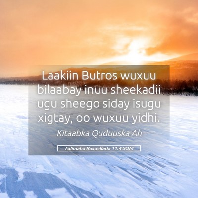 Picture 05 - Falimaha Rasuullada 11:4 SOM - Laakiin Butros wuxuu bilaabay inuu sheekadii ugu - Bible Verse Picture