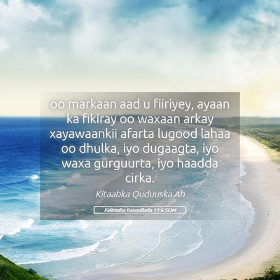 Picture 05 - Falimaha Rasuullada 11:6 SOM - oo markaan aad u fiiriyey, ayaan ka fikiray oo - Bible Verse Picture