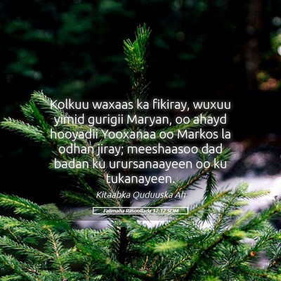 Picture 05 - Falimaha Rasuullada 12:12 SOM - Kolkuu waxaas ka fikiray, wuxuu yimid gurigii - Bible Verse Picture