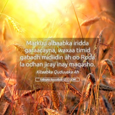 Picture 05 - Falimaha Rasuullada 12:13 SOM - Markuu albaabka iridda garaacayna, waxaa timid - Bible Verse Picture