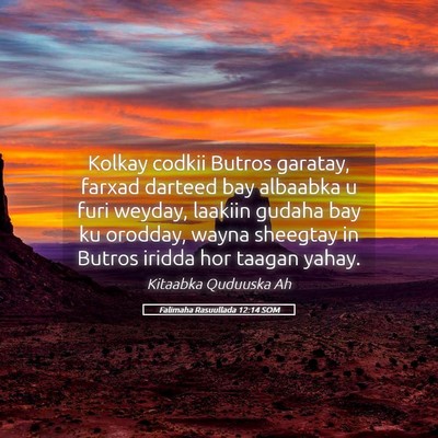 Picture 05 - Falimaha Rasuullada 12:14 SOM - Kolkay codkii Butros garatay, farxad darteed bay - Bible Verse Picture
