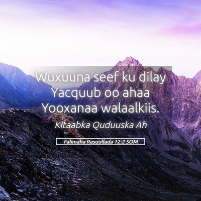 Picture 05 - Falimaha Rasuullada 12:2 SOM - Wuxuuna seef ku dilay Yacquub oo ahaa Yooxanaa - Bible Verse Picture