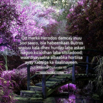 Picture 05 - Falimaha Rasuullada 12:6 SOM - Oo markii Herodos damcay inuu soo saaro, isla - Bible Verse Picture
