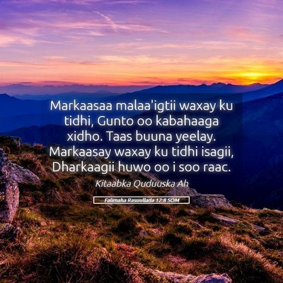 Picture 05 - Falimaha Rasuullada 12:8 SOM - Markaasaa malaa'igtii waxay ku tidhi, Gunto oo - Bible Verse Picture