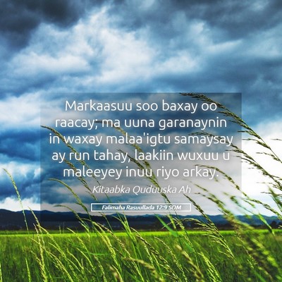 Picture 05 - Falimaha Rasuullada 12:9 SOM - Markaasuu soo baxay oo raacay; ma uuna garanaynin - Bible Verse Picture