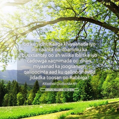 Picture 05 - Falimaha Rasuullada 13:10 SOM - oo ku yidhi, Kaaga khiyaanada iyo xumaanta oo - Bible Verse Picture