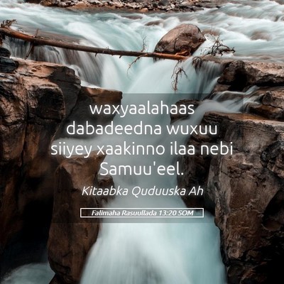 Picture 05 - Falimaha Rasuullada 13:20 SOM - waxyaalahaas dabadeedna wuxuu siiyey xaakinno - Bible Verse Picture