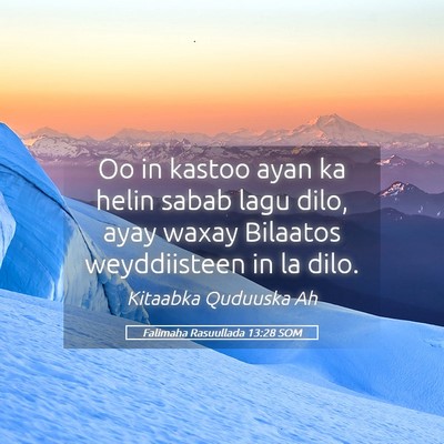Picture 05 - Falimaha Rasuullada 13:28 SOM - Oo in kastoo ayan ka helin sabab lagu dilo, ayay - Bible Verse Picture