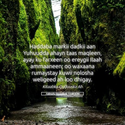Picture 05 - Falimaha Rasuullada 13:48 SOM - Haddaba markii dadkii aan Yuhuudda ahayn taas - Bible Verse Picture