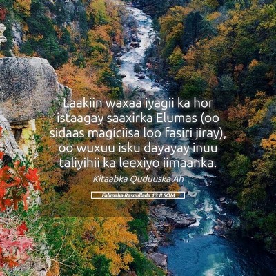Picture 05 - Falimaha Rasuullada 13:8 SOM - Laakiin waxaa iyagii ka hor istaagay saaxirka - Bible Verse Picture