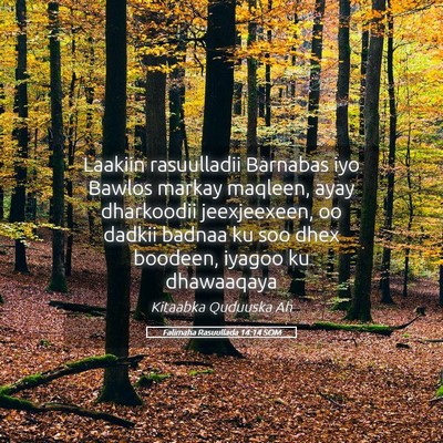 Picture 05 - Falimaha Rasuullada 14:14 SOM - Laakiin rasuulladii Barnabas iyo Bawlos markay - Bible Verse Picture
