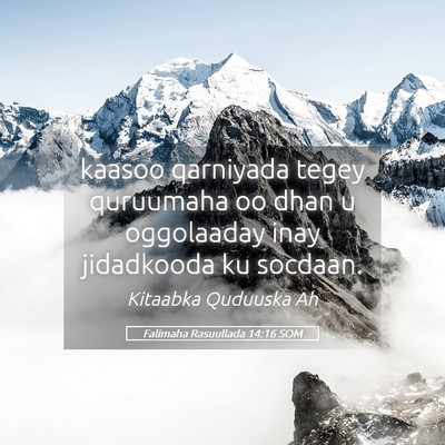 Picture 05 - Falimaha Rasuullada 14:16 SOM - kaasoo qarniyada tegey quruumaha oo dhan u - Bible Verse Picture