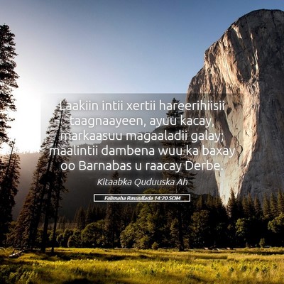 Picture 05 - Falimaha Rasuullada 14:20 SOM - Laakiin intii xertii hareerihiisii taagnaayeen, - Bible Verse Picture