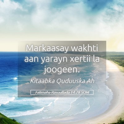 Picture 05 - Falimaha Rasuullada 14:28 SOM - Markaasay wakhti aan yarayn xertii la - Bible Verse Picture