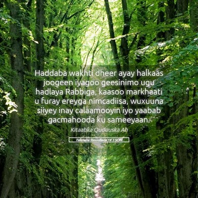 Picture 05 - Falimaha Rasuullada 14:3 SOM - Haddaba wakhti dheer ayay halkaas joogeen iyagoo - Bible Verse Picture
