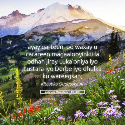 Picture 05 - Falimaha Rasuullada 14:6 SOM - ayay garteen, oo waxay u carareen magaalooyinkii - Bible Verse Picture