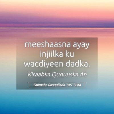 Picture 05 - Falimaha Rasuullada 14:7 SOM - meeshaasna ayay injiilka ku wacdiyeen - Bible Verse Picture