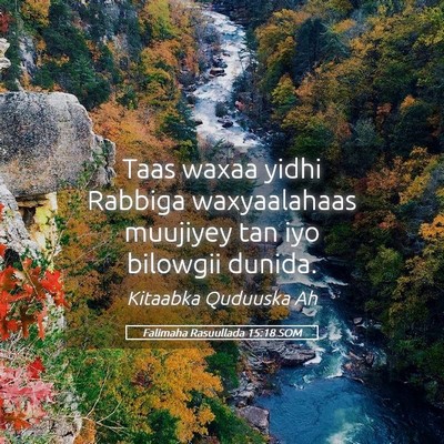 Picture 05 - Falimaha Rasuullada 15:18 SOM - Taas waxaa yidhi Rabbiga waxyaalahaas muujiyey - Bible Verse Picture