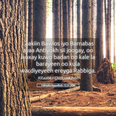 Picture 05 - Falimaha Rasuullada 15:35 SOM - Laakiin Bawlos iyo Barnabas ayaa Antiyokh sii - Bible Verse Picture