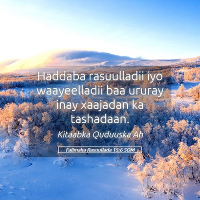 Picture 05 - Falimaha Rasuullada 15:6 SOM - Haddaba rasuulladii iyo waayeelladii baa ururay - Bible Verse Picture