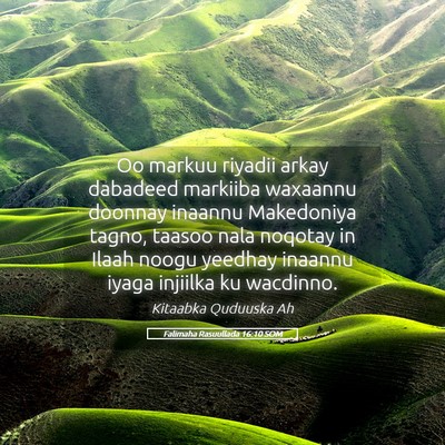 Picture 05 - Falimaha Rasuullada 16:10 SOM - Oo markuu riyadii arkay dabadeed markiiba - Bible Verse Picture