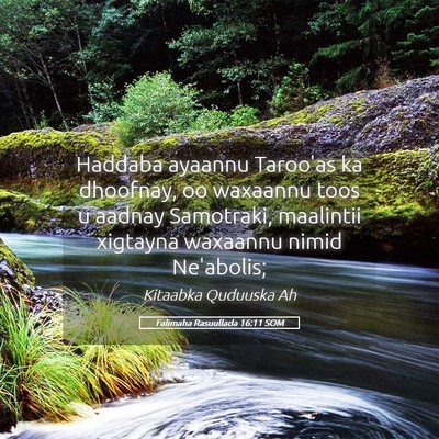 Picture 05 - Falimaha Rasuullada 16:11 SOM - Haddaba ayaannu Taroo'as ka dhoofnay, oo waxaannu - Bible Verse Picture