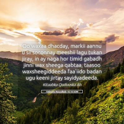 Picture 05 - Falimaha Rasuullada 16:16 SOM - Oo waxaa dhacday, markii aannu u sii soconnay - Bible Verse Picture