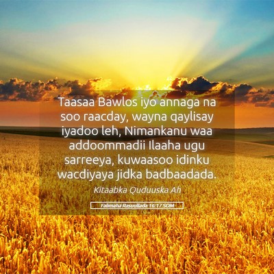 Picture 05 - Falimaha Rasuullada 16:17 SOM - Taasaa Bawlos iyo annaga na soo raacday, wayna - Bible Verse Picture