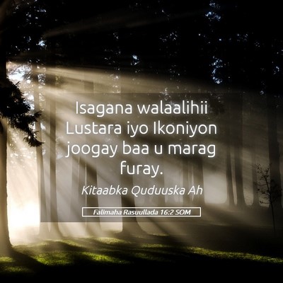 Picture 05 - Falimaha Rasuullada 16:2 SOM - Isagana walaalihii Lustara iyo Ikoniyon joogay - Bible Verse Picture