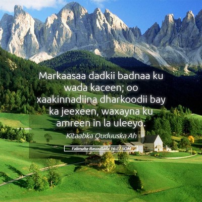Picture 05 - Falimaha Rasuullada 16:22 SOM - Markaasaa dadkii badnaa ku wada kaceen; oo - Bible Verse Picture