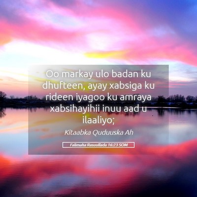 Picture 05 - Falimaha Rasuullada 16:23 SOM - Oo markay ulo badan ku dhufteen, ayay xabsiga ku - Bible Verse Picture