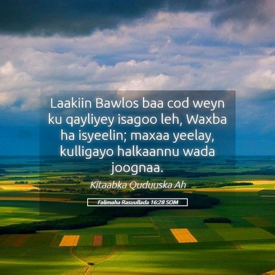 Picture 05 - Falimaha Rasuullada 16:28 SOM - Laakiin Bawlos baa cod weyn ku qayliyey isagoo - Bible Verse Picture