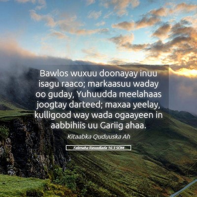 Picture 05 - Falimaha Rasuullada 16:3 SOM - Bawlos wuxuu doonayay inuu isagu raaco; markaasuu - Bible Verse Picture