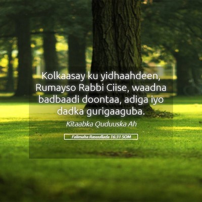 Picture 05 - Falimaha Rasuullada 16:31 SOM - Kolkaasay ku yidhaahdeen, Rumayso Rabbi Ciise, - Bible Verse Picture