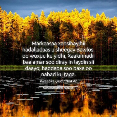 Picture 05 - Falimaha Rasuullada 16:36 SOM - Markaasaa xabsihayihii hadalladaas u sheegay - Bible Verse Picture