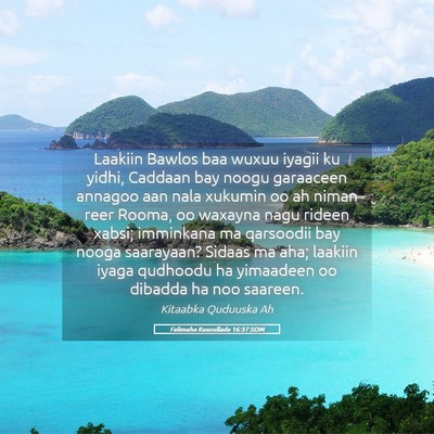 Picture 05 - Falimaha Rasuullada 16:37 SOM - Laakiin Bawlos baa wuxuu iyagii ku yidhi, Caddaan - Bible Verse Picture