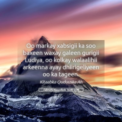 Picture 05 - Falimaha Rasuullada 16:40 SOM - Oo markay xabsigii ka soo baxeen waxay galeen - Bible Verse Picture