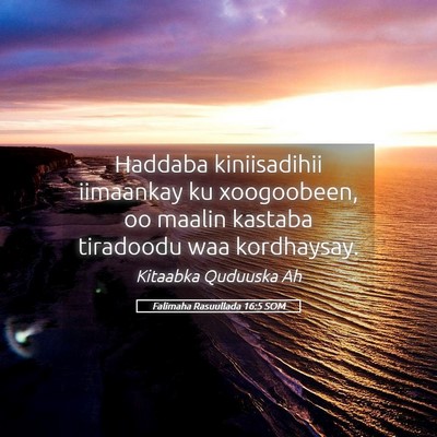 Picture 05 - Falimaha Rasuullada 16:5 SOM - Haddaba kiniisadihii iimaankay ku xoogoobeen, oo - Bible Verse Picture